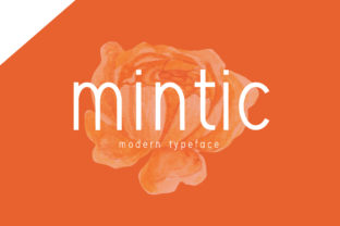 Mintic Display Font for Editorial Design Projects