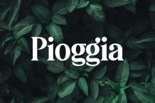 Pioggia: A Modern Display Font for Playful Branding